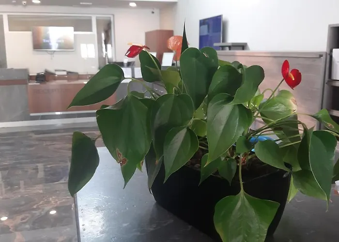 迪斯特瑞克特酒店